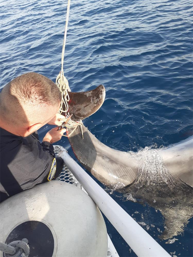 Slika /PU_SD/Slike/dupin ppp split2.jpg